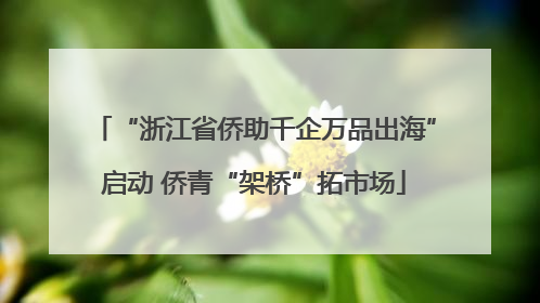 “浙江省侨助千企万品出海”启动 侨青“架桥”拓市场